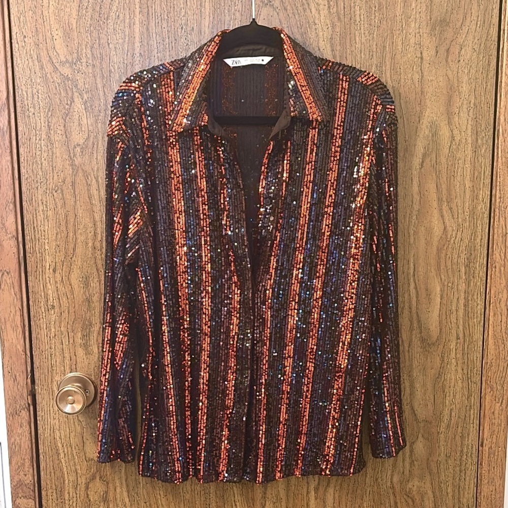 Zara Rockstar Striped Sequin Shirt
